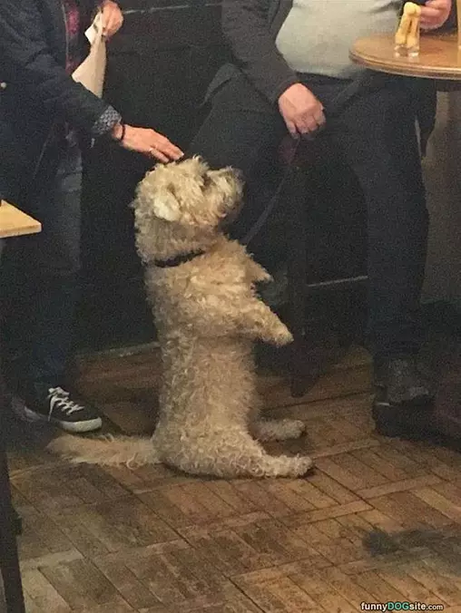 Sitting Up