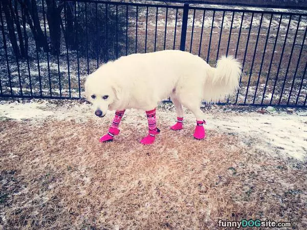 My Pink Socks