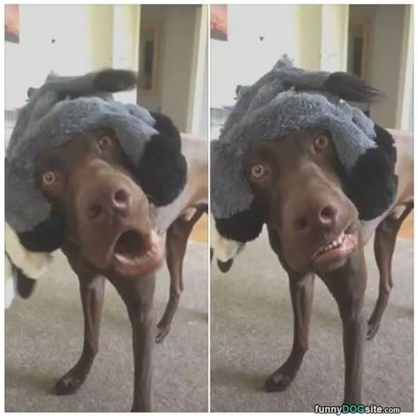 Peeeekabooo