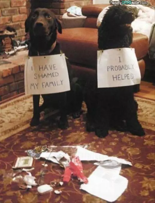 Shamed
