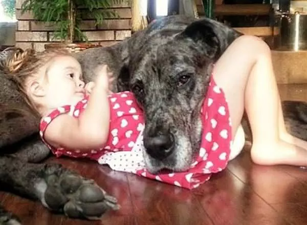 I Will Protect You