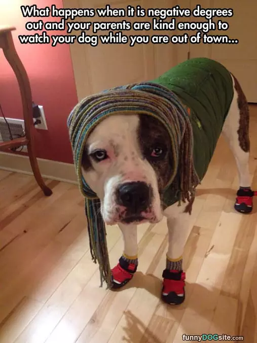 Very Cold Outside