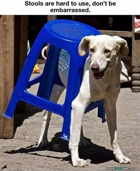 Stools Are Hard
