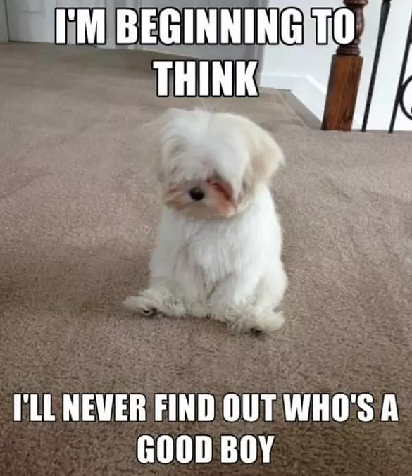 Never Find Out