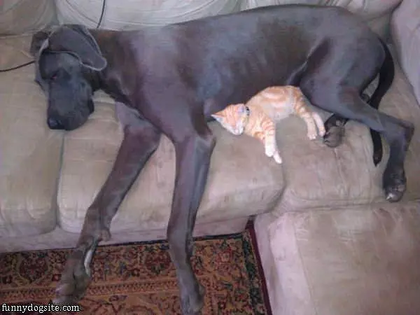 Dont Worry You Are Safe