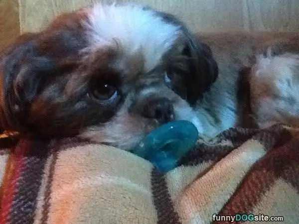 My Binky