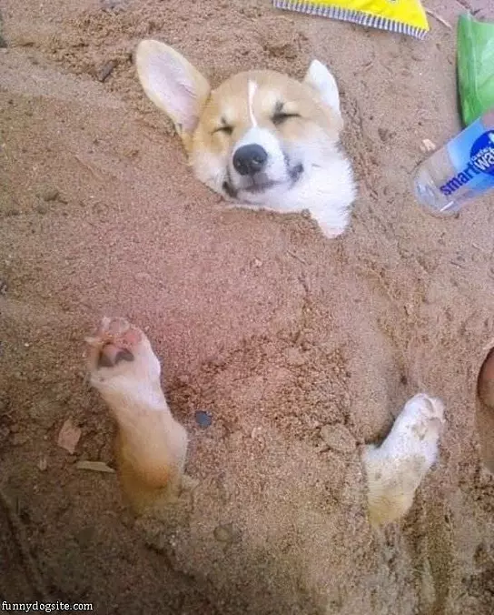 Day At The Beach