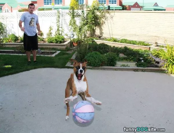 I Love This Ball