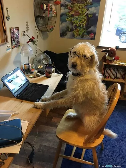 At The Desk
