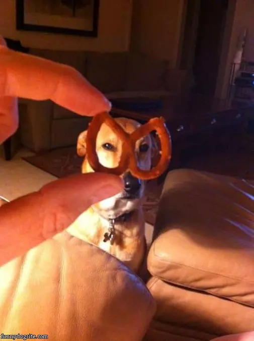 The Pretzel Mask