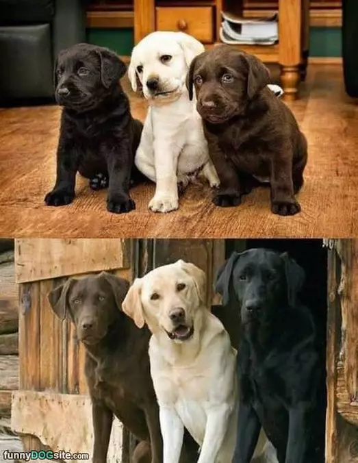 Small To Big