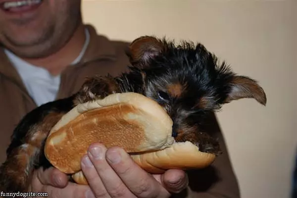 A Real Hotdog 