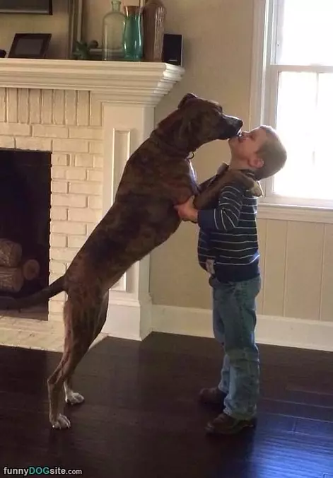 Give Me Some Kisses