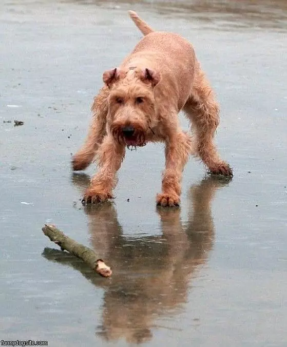 Fetching
