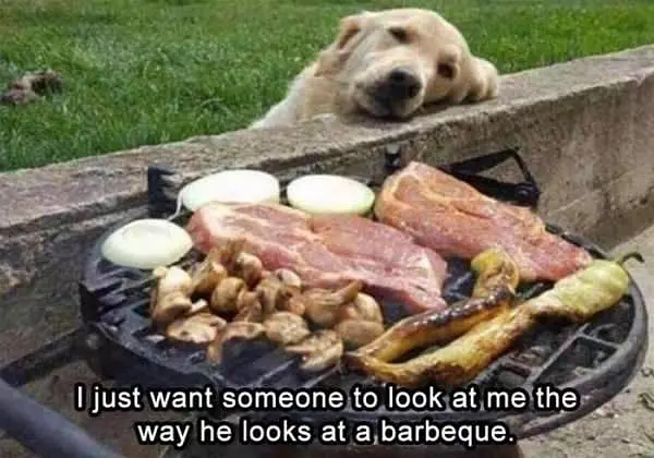 Look At Me Like This