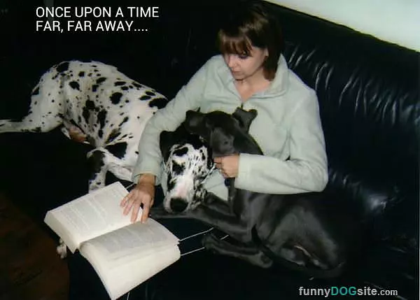 Bedtime Story