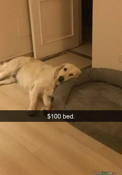 New Pillow