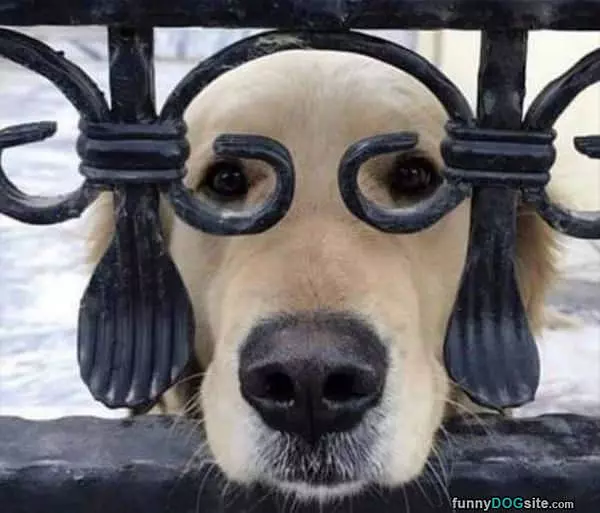 I Can See You