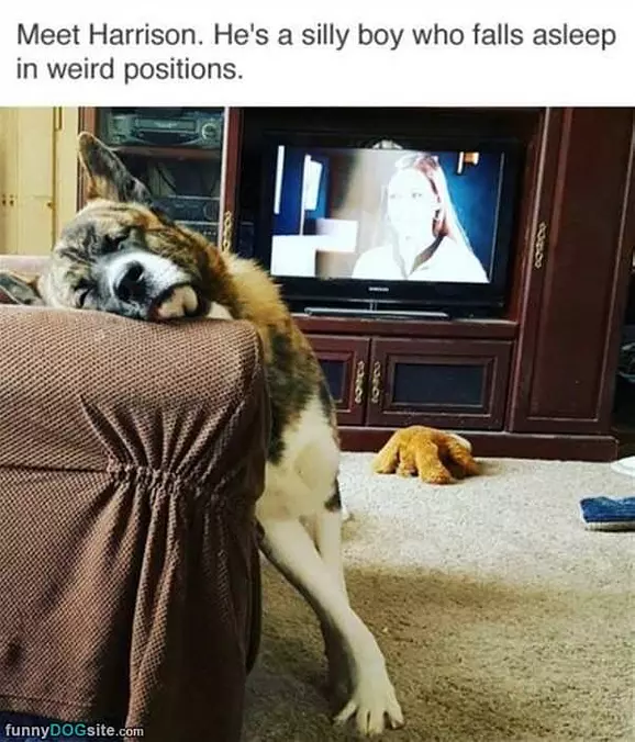 Silly Boy