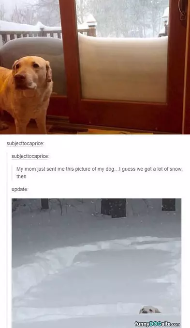A Lot Of Snow