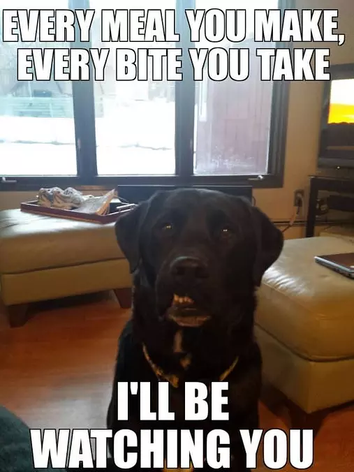 Be Watching You