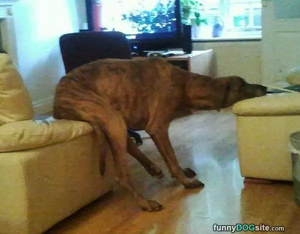 I Sit How I Want To