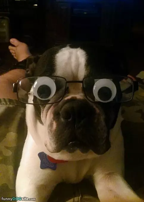 Crazy Eyes
