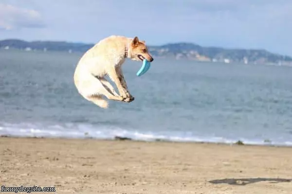 High Jumper