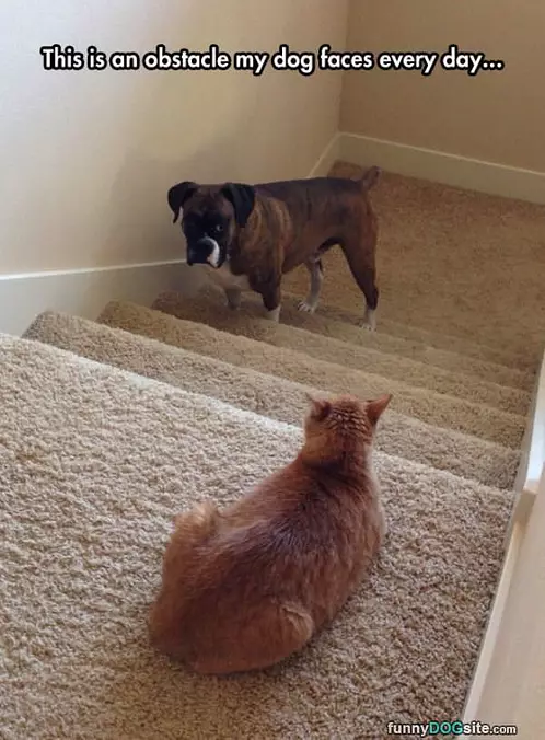Obstacle