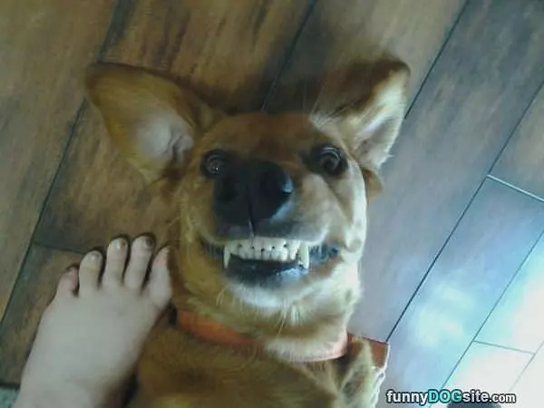 My Huge Smile