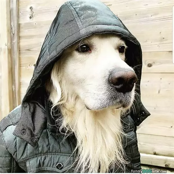 I Got My Hood On