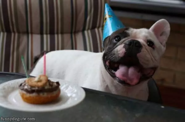 My Birthday Treat