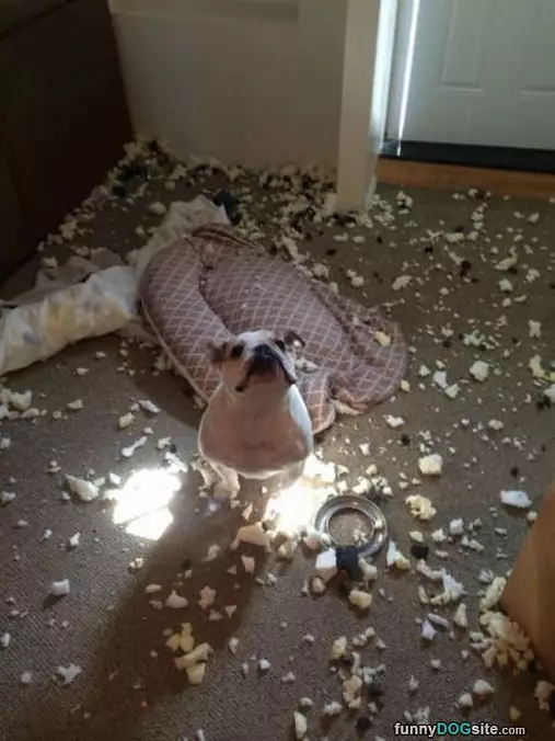 Messy Time