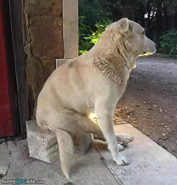 My Chair