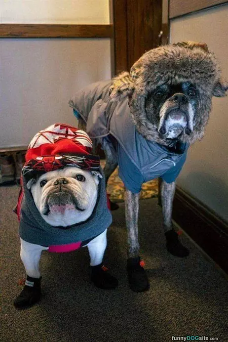 We Are Dressed For Success