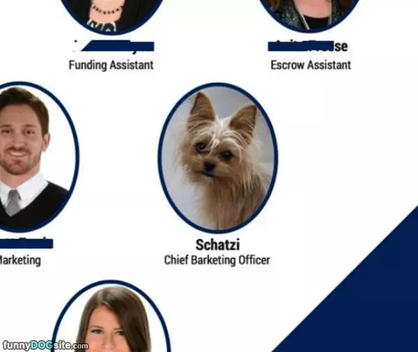 The Chief