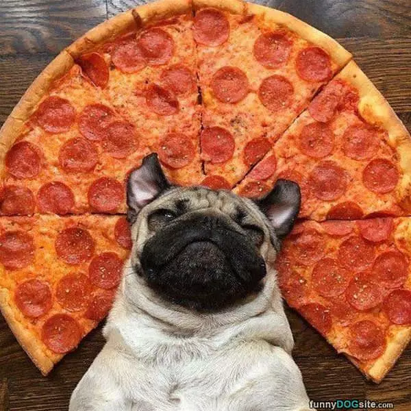 This Is Heaven