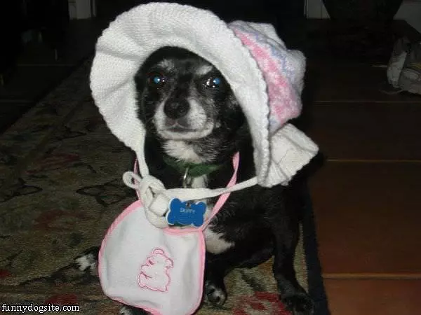 Skippys Hat