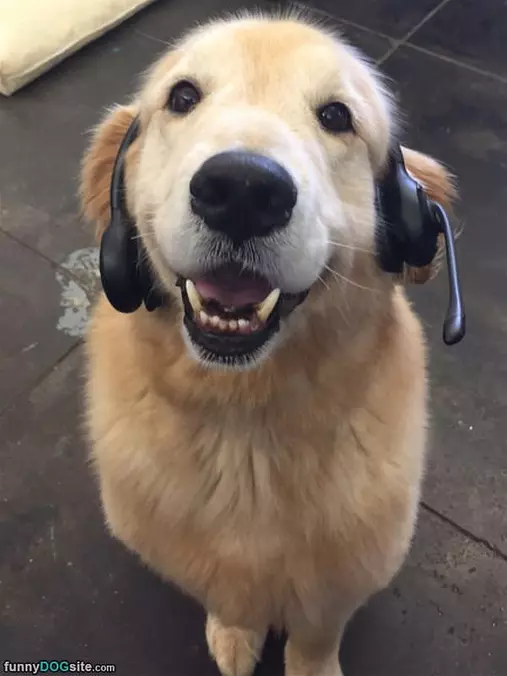 Customer Support