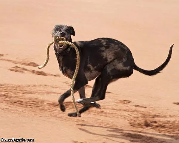 I Love This Rope