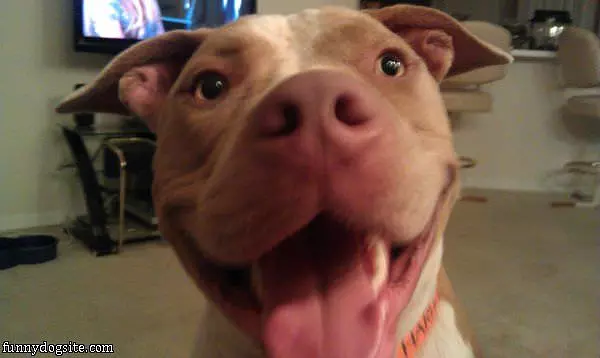 Closeup Smiles