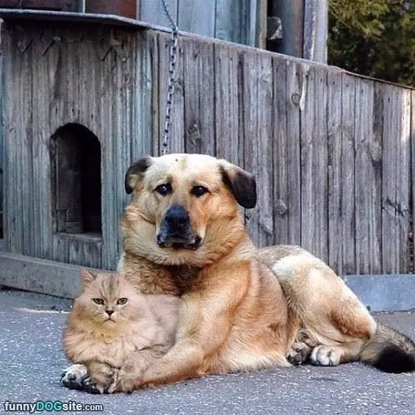 We Are Best Buds