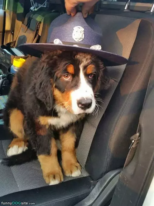 Nice Hat