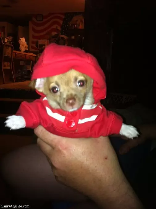 Tiny Red Sweater