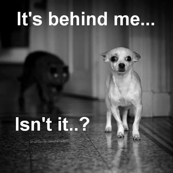 Its Behind Me