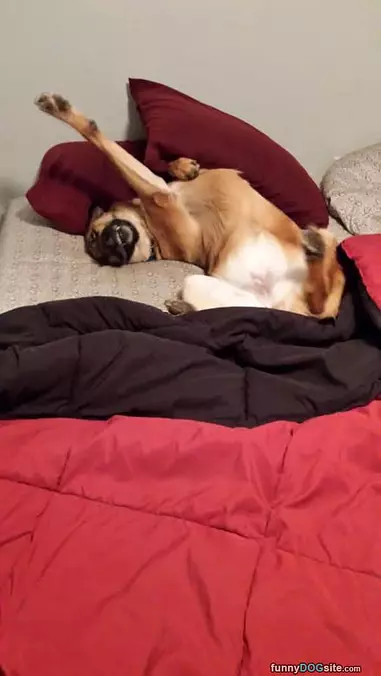 Sleeping In Today