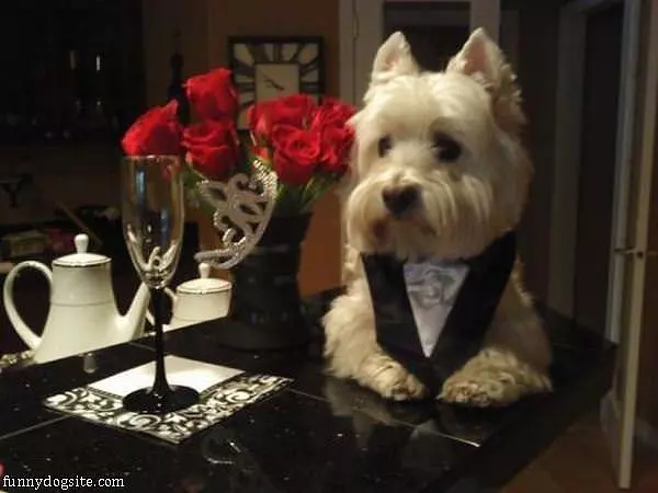 Romantic Night