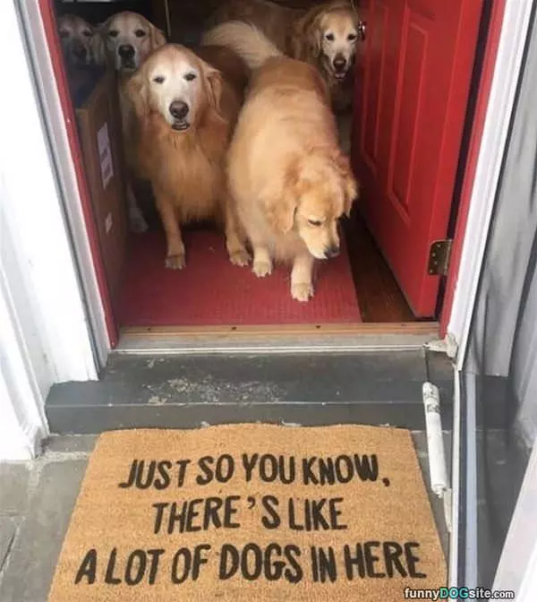 Just So You Know