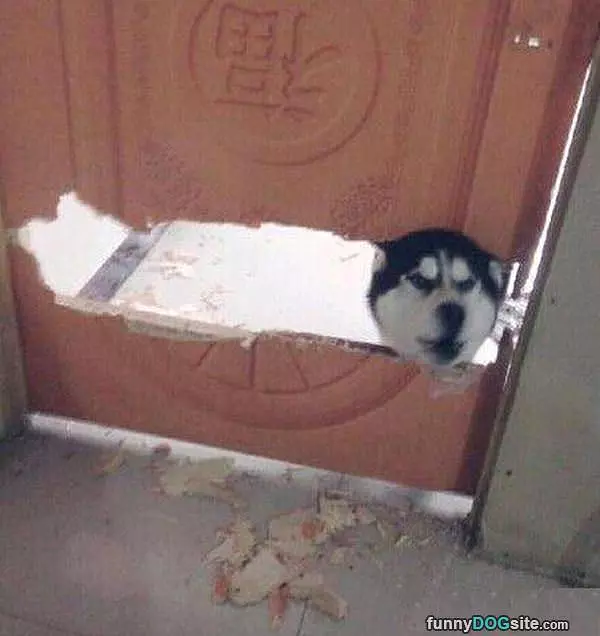 Getting In