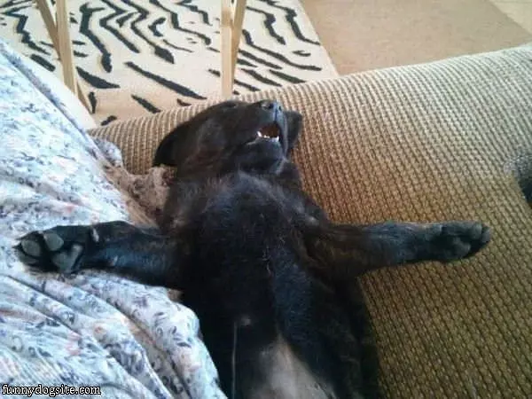 I Sleep So Good